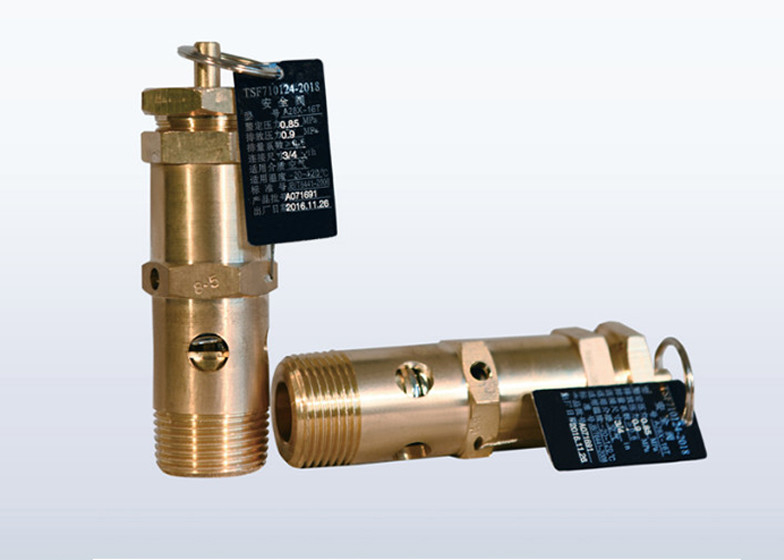 Compact 200 degree M36 Air Compressor Relief Valve